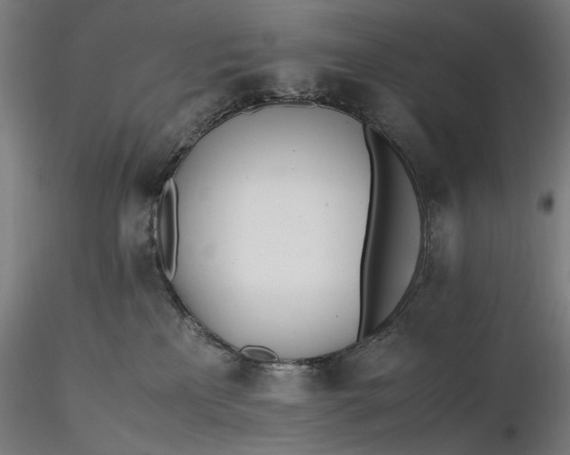 X0000116460233200912231407