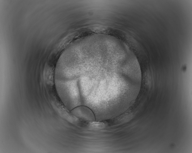 X0000116460234200912231407