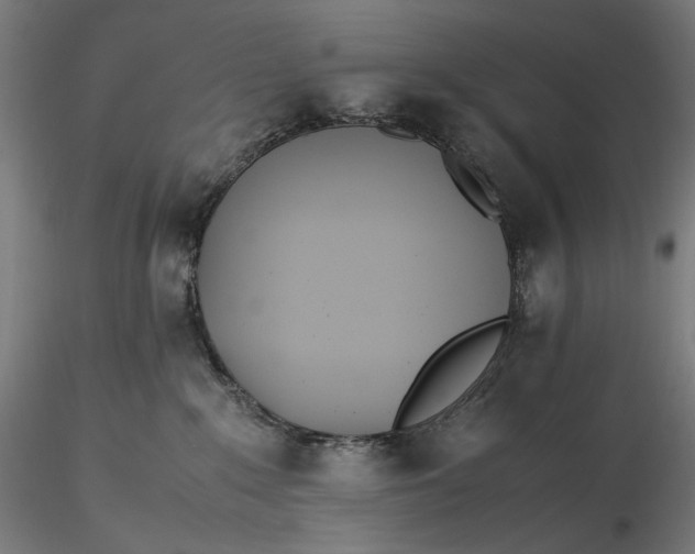 X0000116460235200912231407