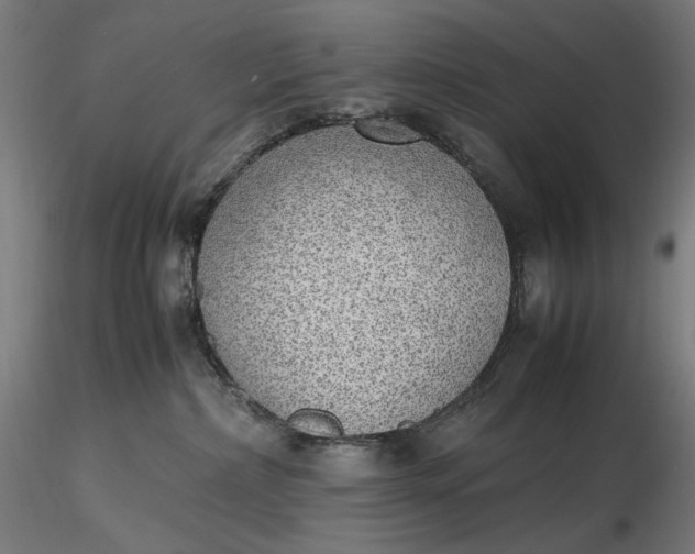 X0000116460236200912231407