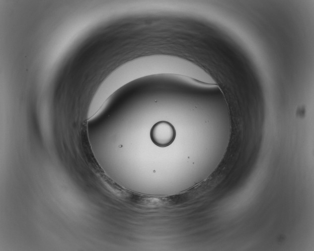 X0000116460239200912231407