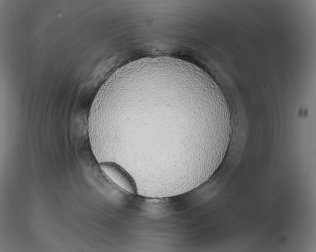 X0000116460240200912231407