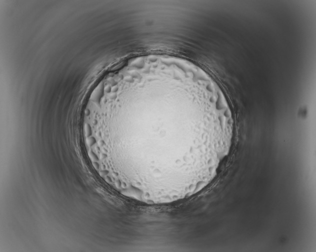 X0000116460241200912231407