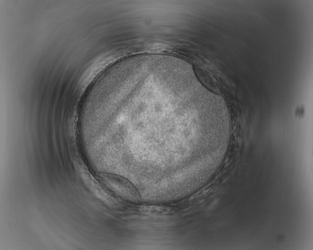 X0000116460242200912231407