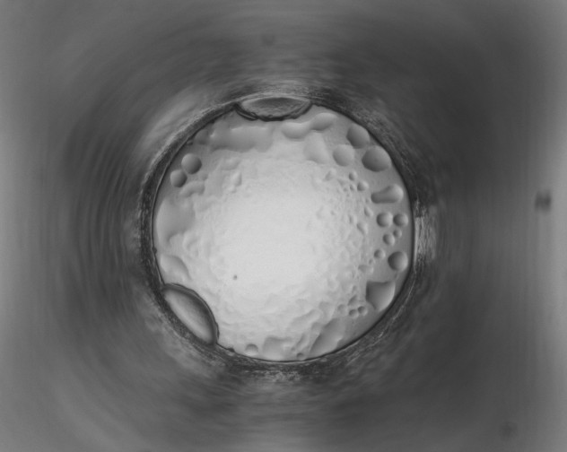 X0000116460243200912231407