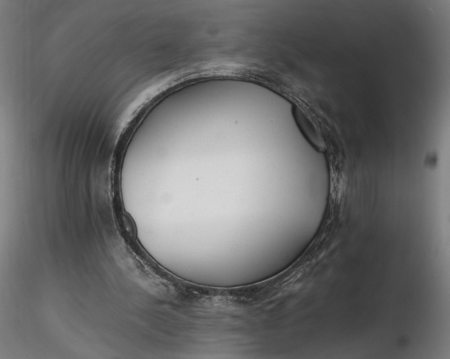 X0000116460244200912231407