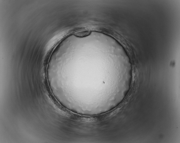 X0000116460245200912231407