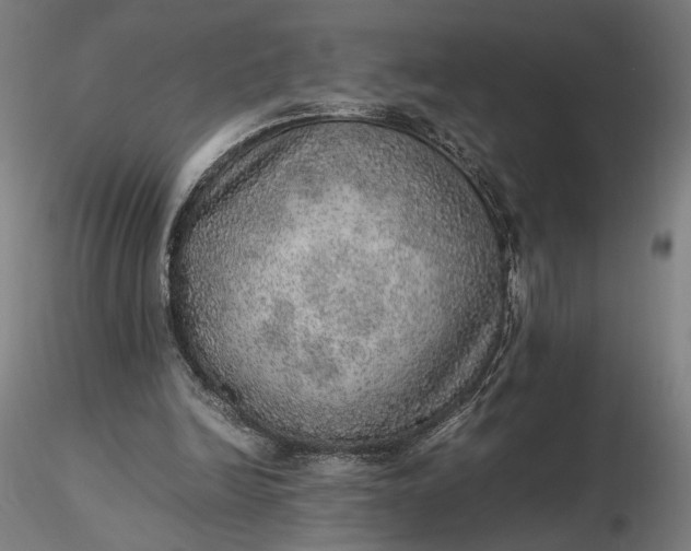 X0000116460246200912231407