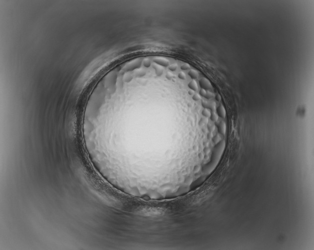 X0000116460247200912231407