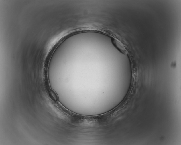 X0000116460248200912231407