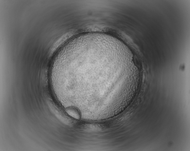 X0000116460250200912231407