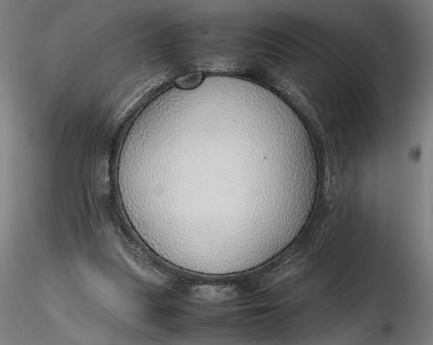 X0000116460251200912231407