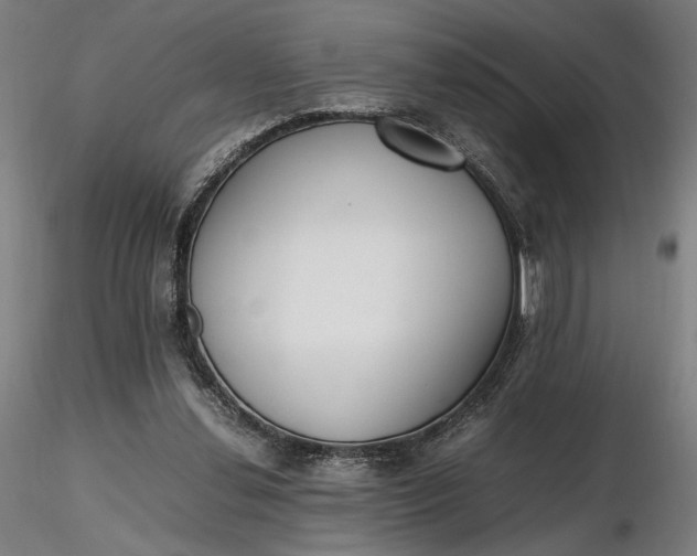 X0000116460252200912231407