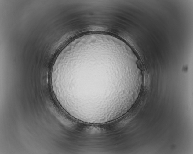 X0000116460253200912231407