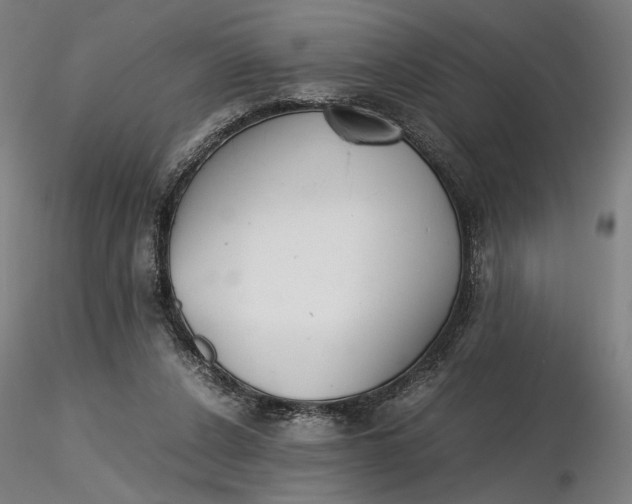 X0000116460256200912231407