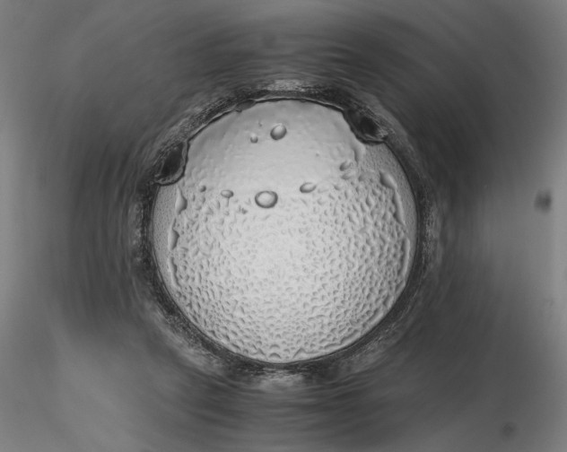 X0000116460257200912231407