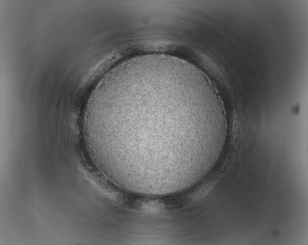 X0000116460258200912231407