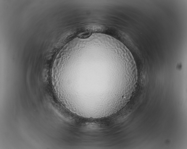 X0000116460259200912231407