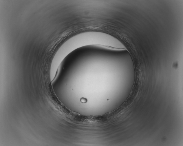 X0000116460260200912231407