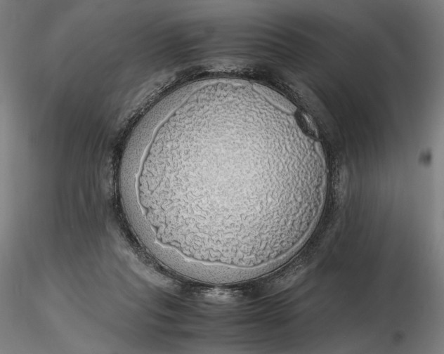 X0000116460261200912231407