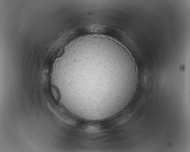 X0000116460263200912231407