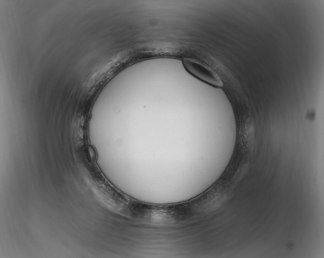 X0000116460264200912231407