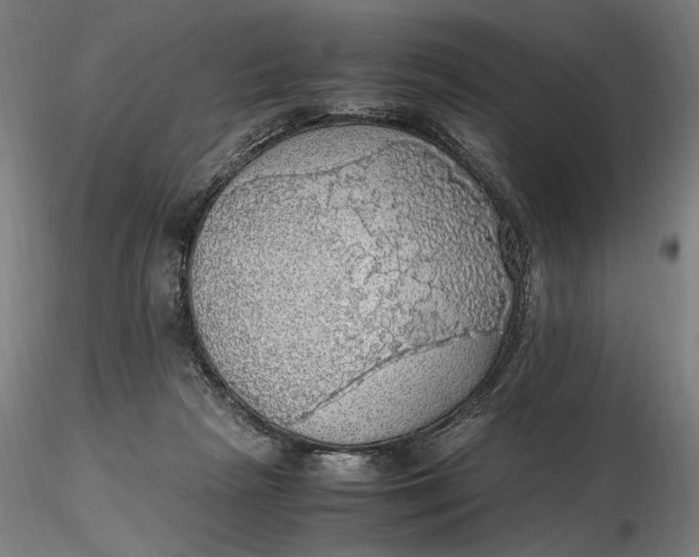 X0000116460265200912231407