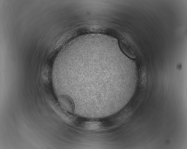 X0000116460266200912231407