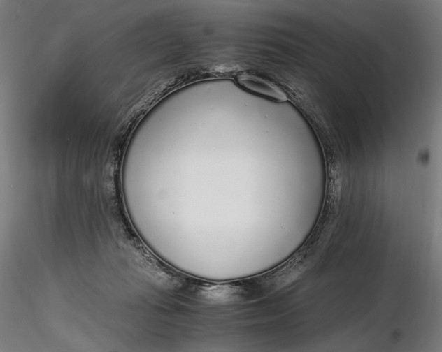 X0000116460269200912231407