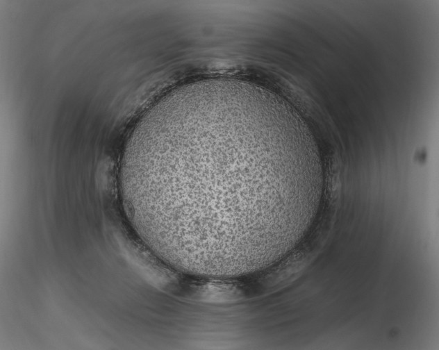 X0000116460270200912231407