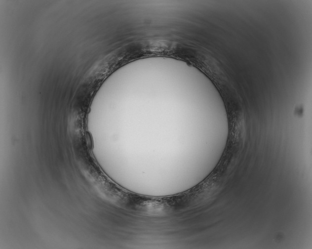 X0000116460272200912231407