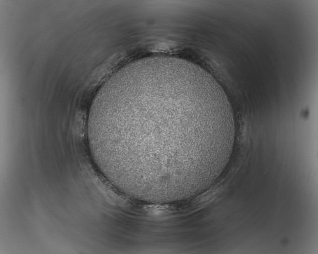 X0000116460273200912231407