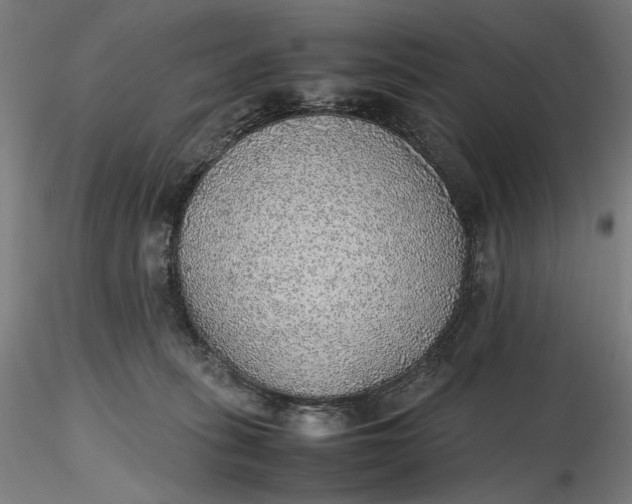 X0000116460275200912231407