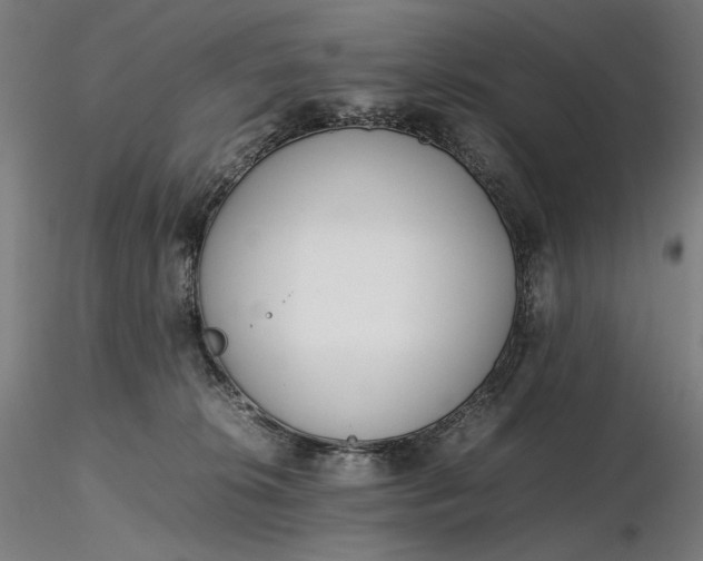 X0000116460276200912231407