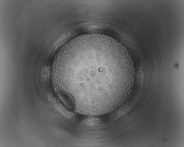 X0000116460278200912231407