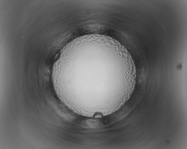 X0000116460279200912231407