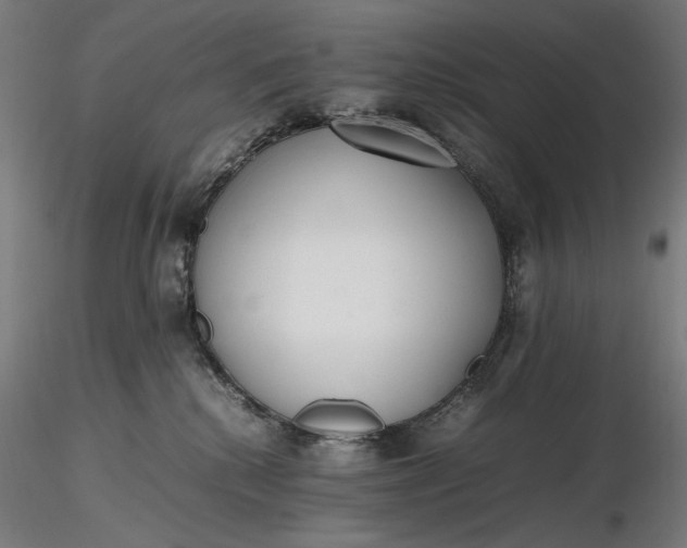 X0000116460280200912231407