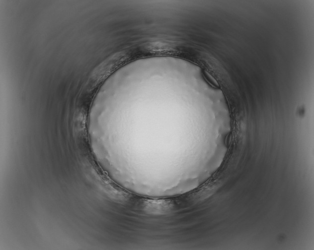 X0000116460281200912231407