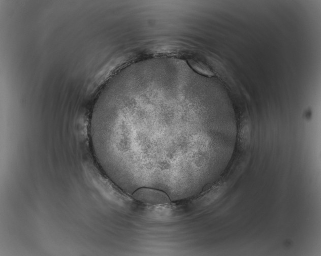 X0000116460282200912231407