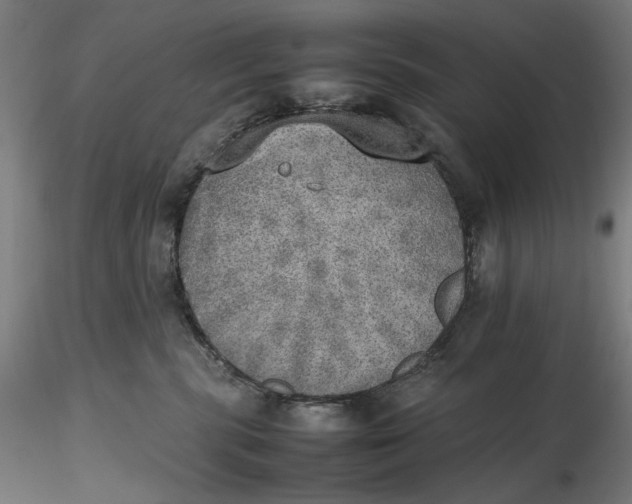 X0000116460283200912231407