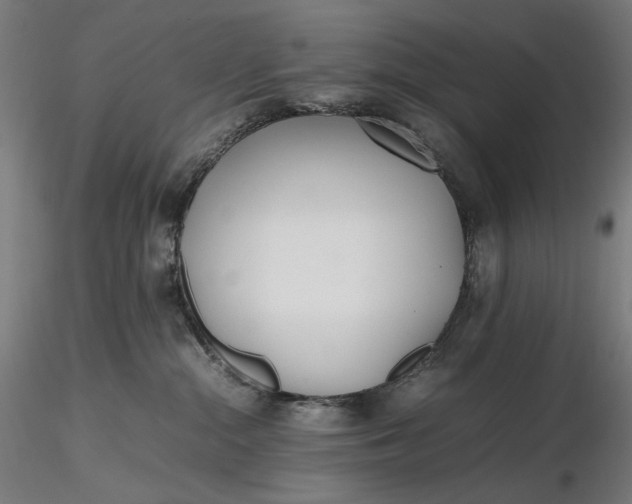 X0000116460284200912231407