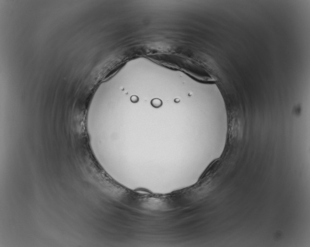 X0000116460285200912231407