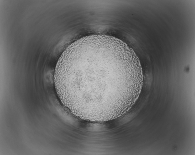 X0000116460286200912231407