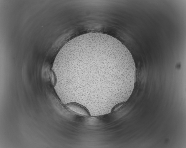 X0000116460287200912231407