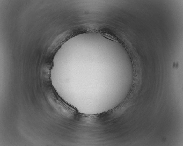 X0000116460288200912231407