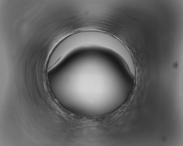 X0000116460289200912231407