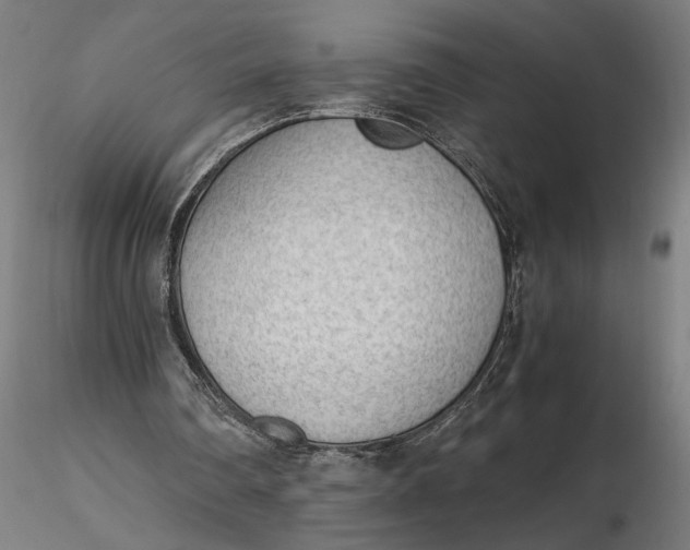 X0000116460290200912231407