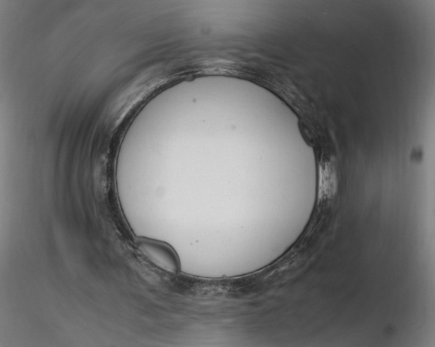 X0000116460291200912231407