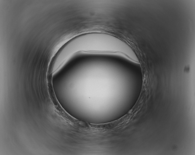 X0000116460292200912231407