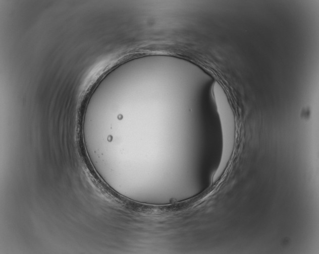 X0000116460293200912231406